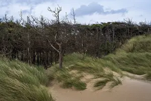 Welsh Coastline Prints: Traeth Llanddwyn Beach, Anglesey