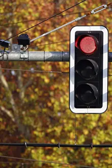 European Street Scenes Prints: Traffic light, Germany