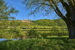 Historic Fortification Germany Prints: A tree casts shadows over river landscape with castle in the background