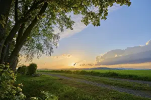 Southern Germany Evening Light Prints: Tree, field, sunset, spring, twelve peaks view