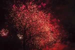 Dark Festive Atmosphere Prints: Tree fireworks