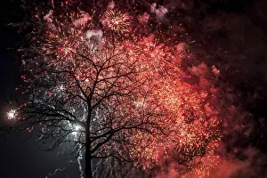 Deserted Night Shot Prints: Tree fireworks