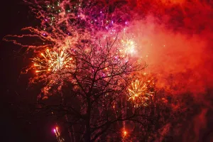 Deserted Fireworks Prints: Tree fireworks