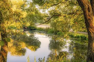 Images Dated 7th September 2024: Print of a Calm Landscape with Yellow Leaves and Blue Sky