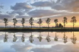 Deserted Countryside Landscape Prints: Tree row reflected in river at sunrise