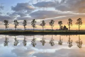 Waterway Landscape Photography Prints: Tree row reflected in river at sunrise