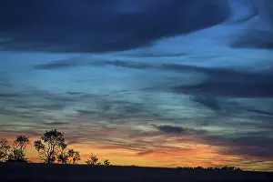 Picturesque German Landscapes Prints: Tree silouettes with dark clouds at sunset