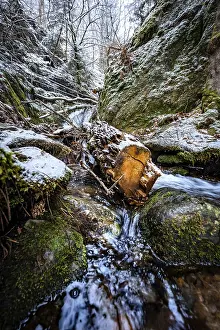 Snowy Black Forest Landscape Prints: Tree in a stream in winter with snow