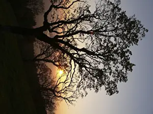 Deserted Alpine Landscape Photo Prints: Tree, sunset, evening sun, evening sky