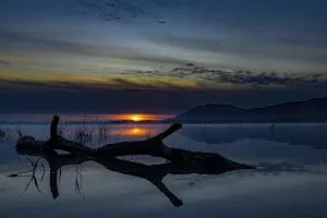 Southern Germany Evening Atmosphere Prints: Tree trunk on water surface with reflection at blue hour