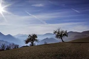 European Countryside Scene Prints: Two trees