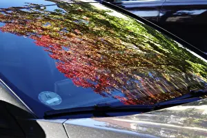 Central Europe Fall Colors Prints: Trees with autumn colours reflected in a windscreen
