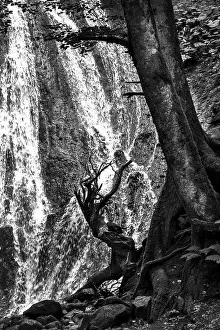 Deserted Mountain River Prints: Trees at the foot of a waterfall