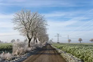 Open Air Winter Landscapes Prints: Trees and landscape with hoarfrost