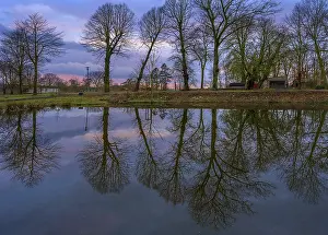 Evening Mood In Europe Prints: Trees reflected in a pond, evening mood
