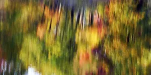 Autumn Leaves Reflection Prints: Trees reflected in water surface