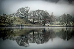 Central England Nature Reserve Prints: Trees reflected in water surface