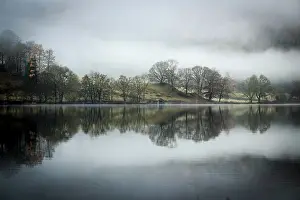 Central England Nature Reserve Prints: Trees reflected in water surface