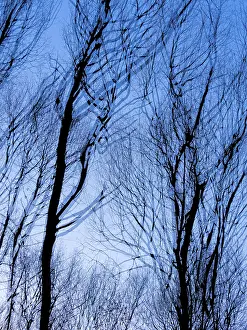 Northern Germany Landscape Photography Prints: Trees in winter, double exposure and in motion