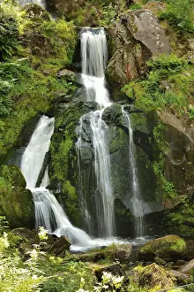 Black Forest Landscape Prints: Triberg waterfall