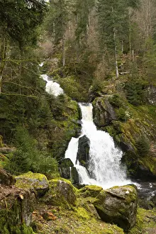 Images Dated 23rd April 2024: Triberg Waterfall Print: A 7-Step Plunge into the Gutach Valley