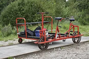 Forested Landscape Photo Prints: Trolley in the forest, Denmark