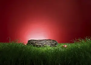 Traditional Easter Decoration Prints: Turf in front of a red background