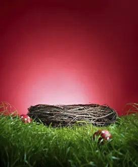 Plain Red Background Image Prints: Turf in front of a red background