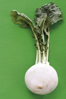 Studio Shot Vegetables Prints: Turnip
