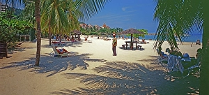 Tropical Palm Trees Prints: Turtle Beach, beach holidaymakers