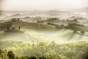Deserted Tuscan Landscape Prints: Tuscan hills