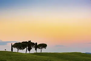 Val D'Orcia Scenery Prints: Tuscan landscape with cluster of trees