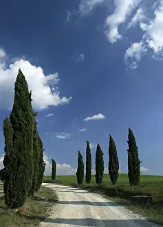 Framed Print : Tuscany Landscape Print Framed Print : Tuscany Landscape Print