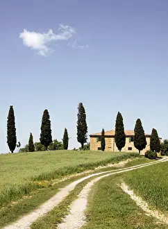 Tuscany Landscape Prints: Tuscany