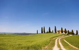 Tuscany Landscape Prints: Tuscany