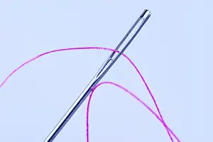 Still Life Images Prints: Twine with needle