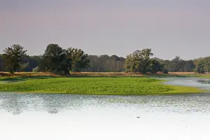 Biosphere Reserve Mittlere Elbe Prints: Typical biotopes of the river landscape