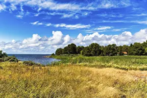 Deserted European Coastline Prints: Typical coastline in summer, Eckero