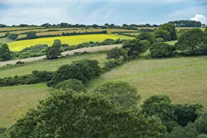 European Cultural Landscape Prints: Typical Cornish landscape with meadows