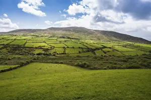 Irish Countryside Views Prints: Typical hilly landscape with cloudy sky