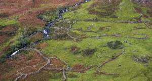 Great Britain National Parks Prints: Typical landscape with stone wall