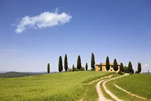 Deserted Countryside Italy Prints: Typical Tuscany