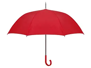 Indoor Studio Photography Prints: Umbrella