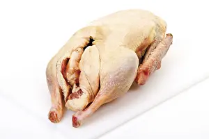 Domestic Goose Figure Prints: Uncooked goose