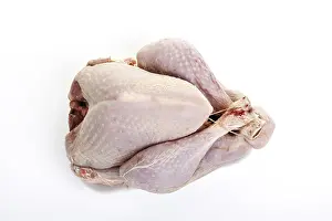 Raw Meat Nutrition Prints: Whole uncooked turkey