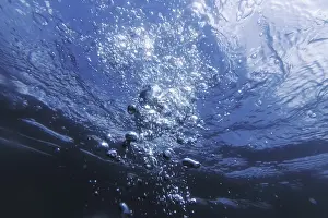 Deserted Underwater Scene Prints: Underwater Bubbles with Sunlight
