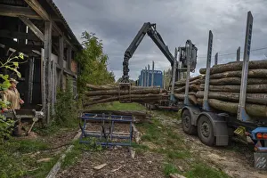 Tree Trunk Removal Prints: Unloading logs from a log transporter