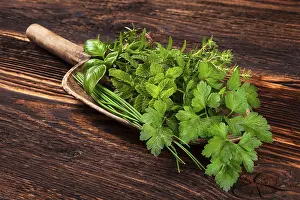 Aromatic Herbs Prints: Various aromatic culinary herbs