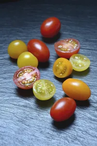 Diverse Cherry Tomato Varieties Prints: Various cherry tomatoes, cherry tomato