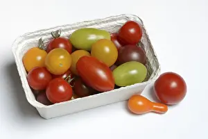 Diverse Tomato Varieties Prints: Various cherry tomatoes in packaging, Germany